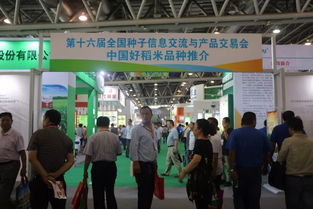42個優質稻米品種亮相雙交會，搭建全產業鏈溝通橋梁